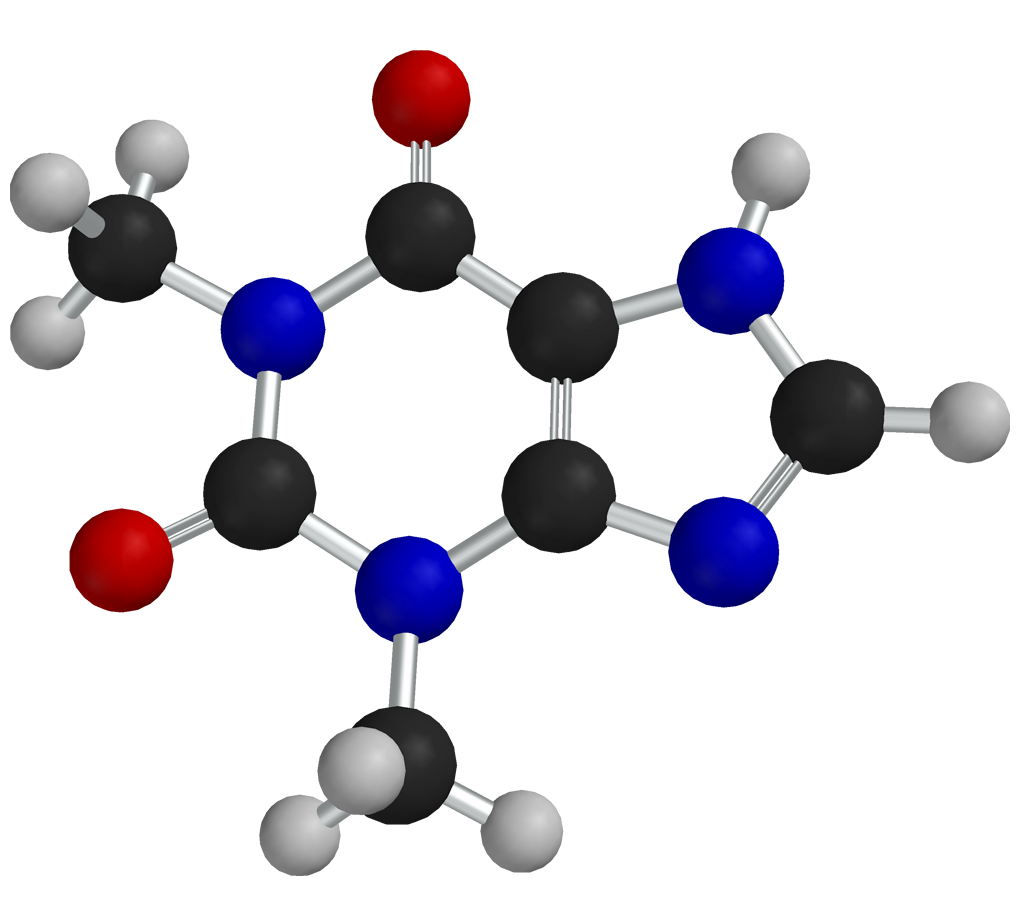 theophylline