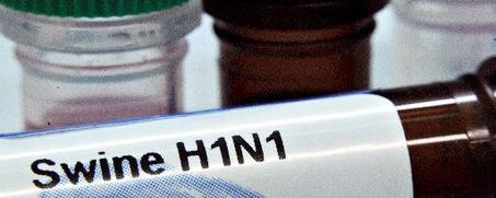 As with other antivirals, resistance to the agent was expected with widespread use of oseltamivir, though the emergence of resistant viruses was expected to be less frequent than with amantadine or rimantadine. The resistance rate reported during clinical trials up to July 2004 was 0.33% in adults, 4.0% in children, and 1.26% overall. Mutations conferring resistance are single amino acid residue substitutions in the neuraminidase enzyme.