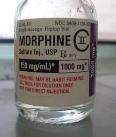 CAS No. :  57-27-2 Morphine hydrochloride