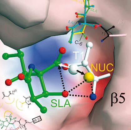 Molecular Weight : 135.16