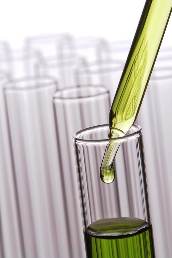 Molecular Formula: C9H10O3 Para Methoxy Phenyl Acetic Acid