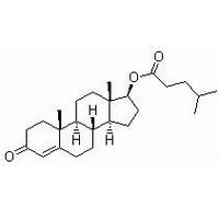 Testosterone Isocaproate